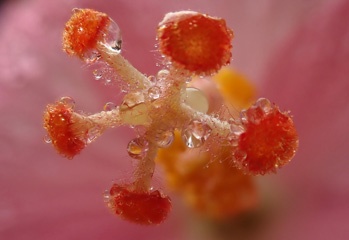 P3127236a.jpg